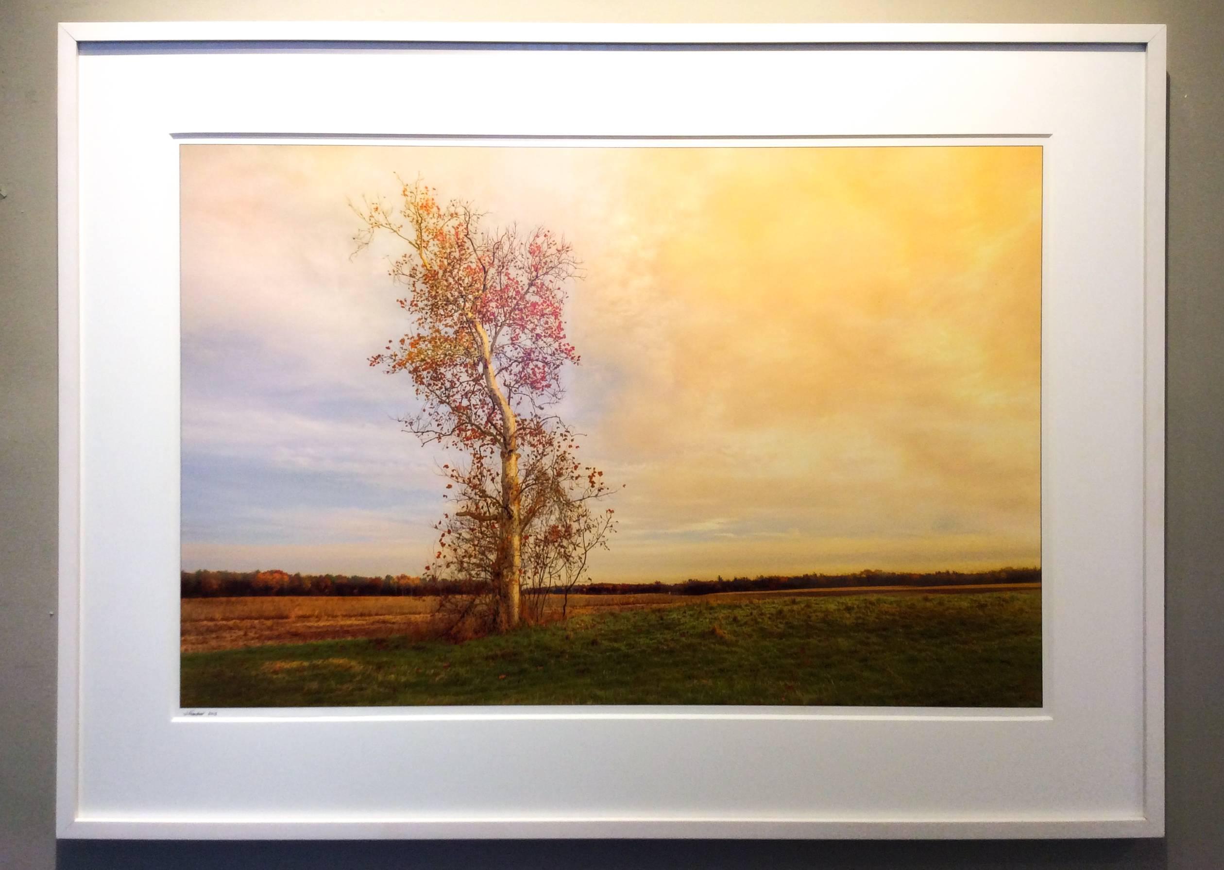 Farm Fields 11 (Landscape Photograph of a Country Field at Sunset, Framed) - Beige Color Photograph by Jerry Freedner
