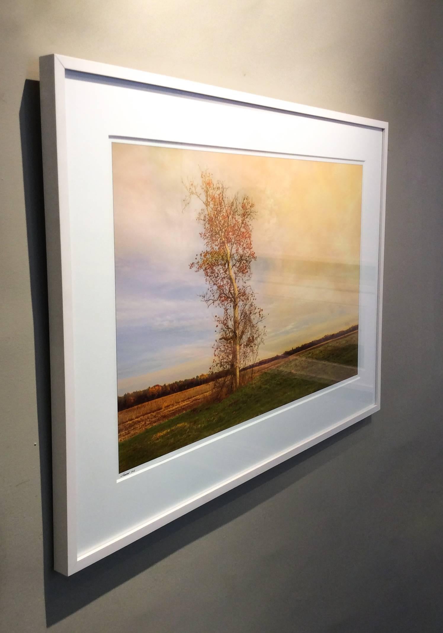 Modern landscape photograph of a tree in a country field during a beautiful Hudson Valley sunset. 
Archival pigment print on paper
32 x 44 inches framed, white moudling with 8-ply mat and non-reflective glass
Signed lower left

This modern, vibrant
