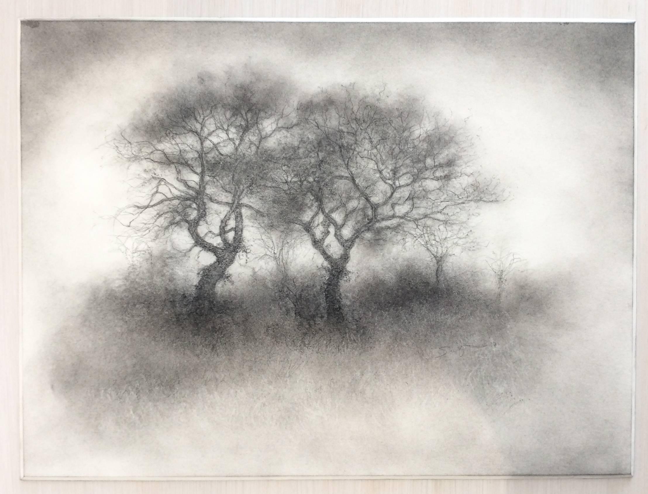 Two Trees (Contemporary Realistic Landscape Drawing in Black Charcoal) - Art by Sue Bryan