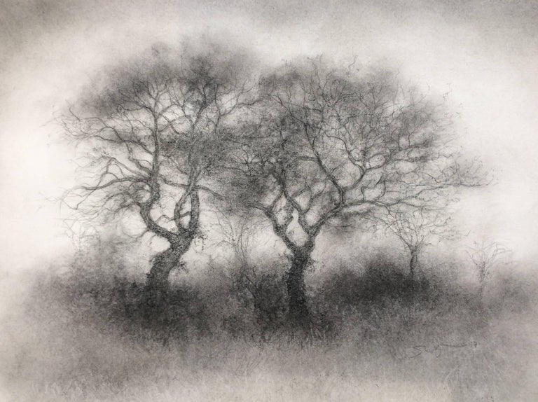 Featured image of post Realistic Tree Scenery Drawing Fill in shading and lines to make the picture more realistic