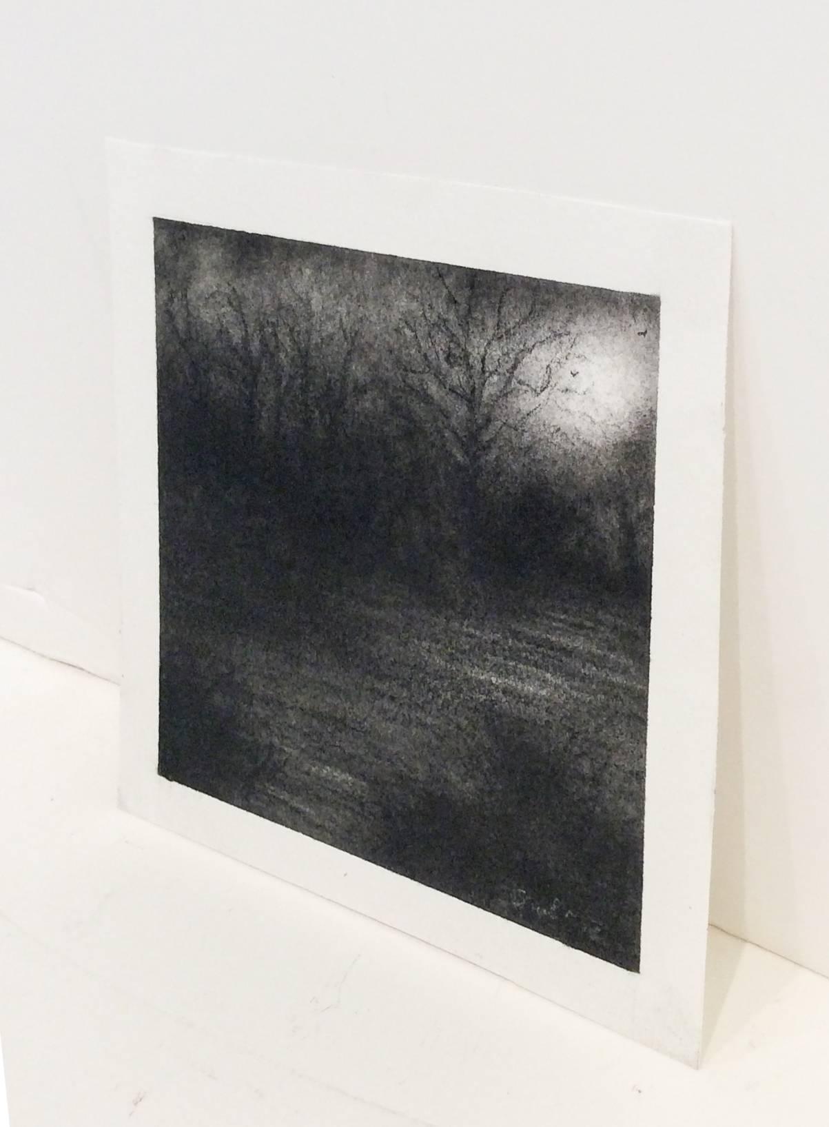 Dessin de paysage réaliste d'une forêt au clair de lune réalisé au fusain noir 
4 x 4 pouces sans cadre, 9.5 x 9.5 pouces en moulure de bois Larson Juhl finition graphite, passe-partout 8 plis et verre AR antireflet

Ce dessin contemporain au fusain