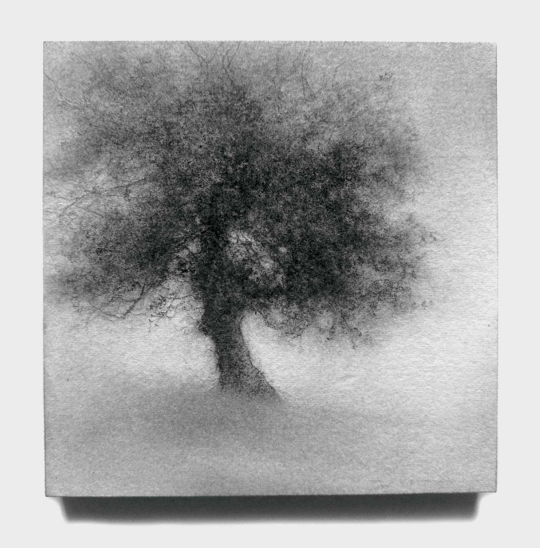 Minikin III (Modern, Small Realistic Tree Drawing on Square Wood Panel) - Art by Sue Bryan