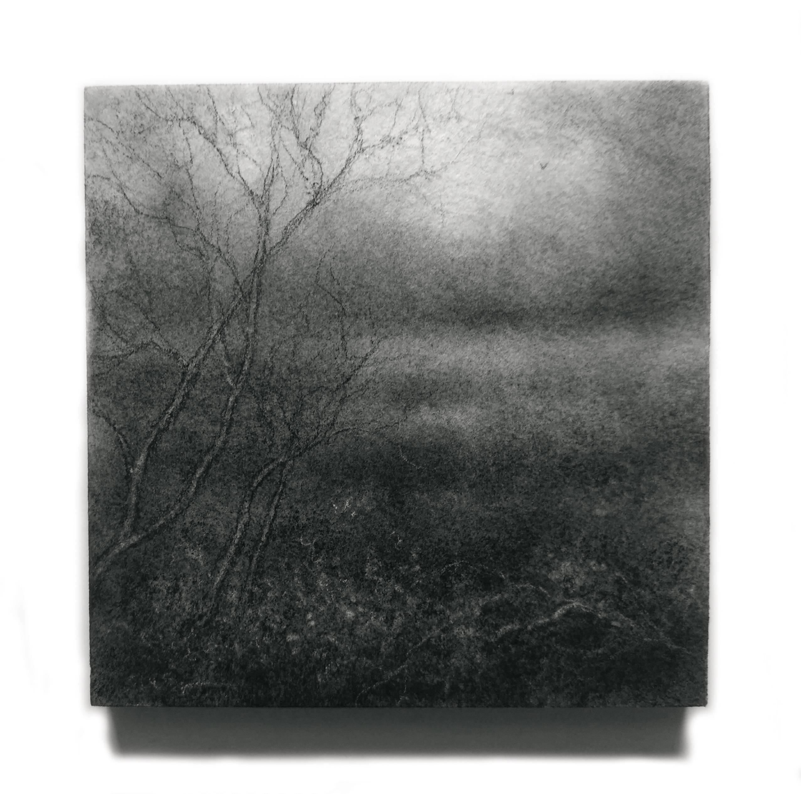 Edgeland L (Small Contemporary Realistic Landscape of Forest in Black Charcoal) - Art by Sue Bryan
