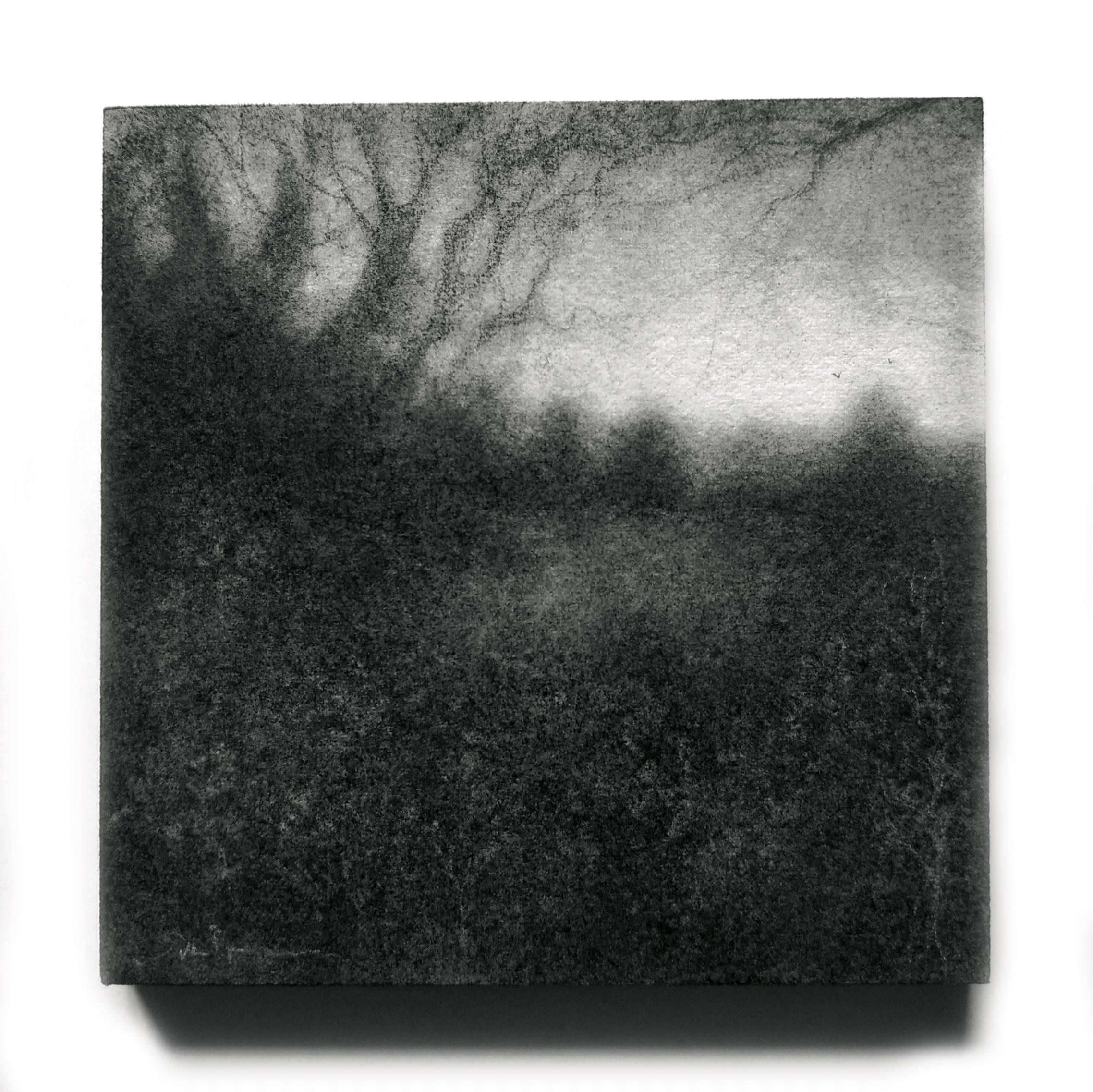 Edgeland XLIX (Modern, realistische, quadratische Landschaftszeichnung eines Waldes in Schwarz) – Art von Sue Bryan