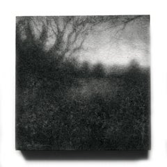 Edgeland XLIX (Modern, Realistic Square Landscape Drawing of Forest in Black)