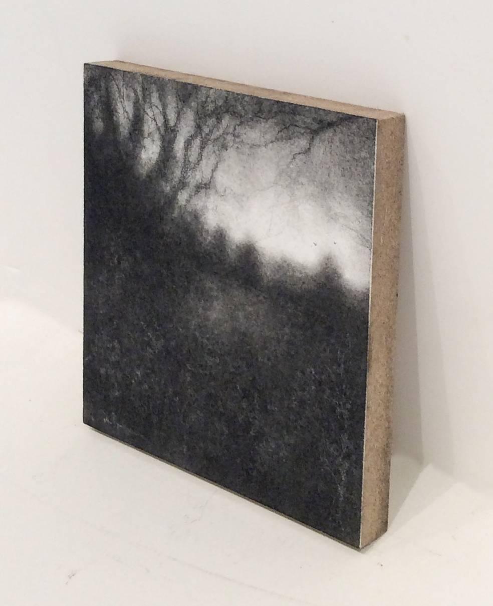 Edgeland XLIX (Modern, realistische, quadratische Landschaftszeichnung eines Waldes in Schwarz) (Zeitgenössisch), Art, von Sue Bryan