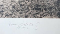 Dopo i francesi (stampa contemporanea con pigmenti d'archivio, paesaggio in tonalità seppia)