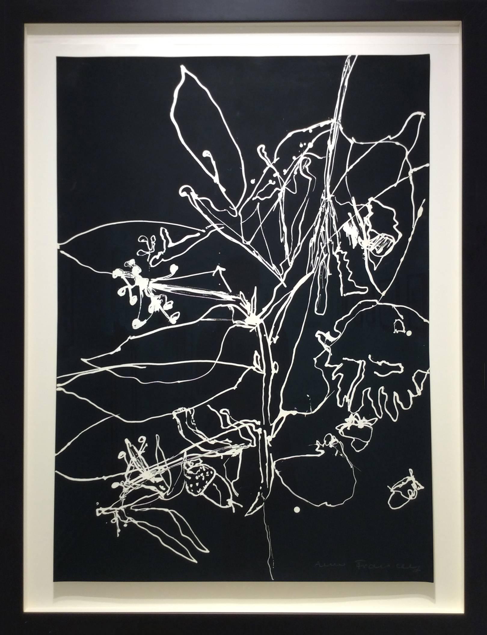 Seismography #22 (dessin abstrait contemporain de fleurs en noir et blanc, encadré) - Painting de Anne Francey