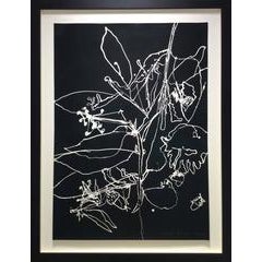 Seismography #22 (Contemporary Abstract Black & White Flower Drawing, Framed) 8