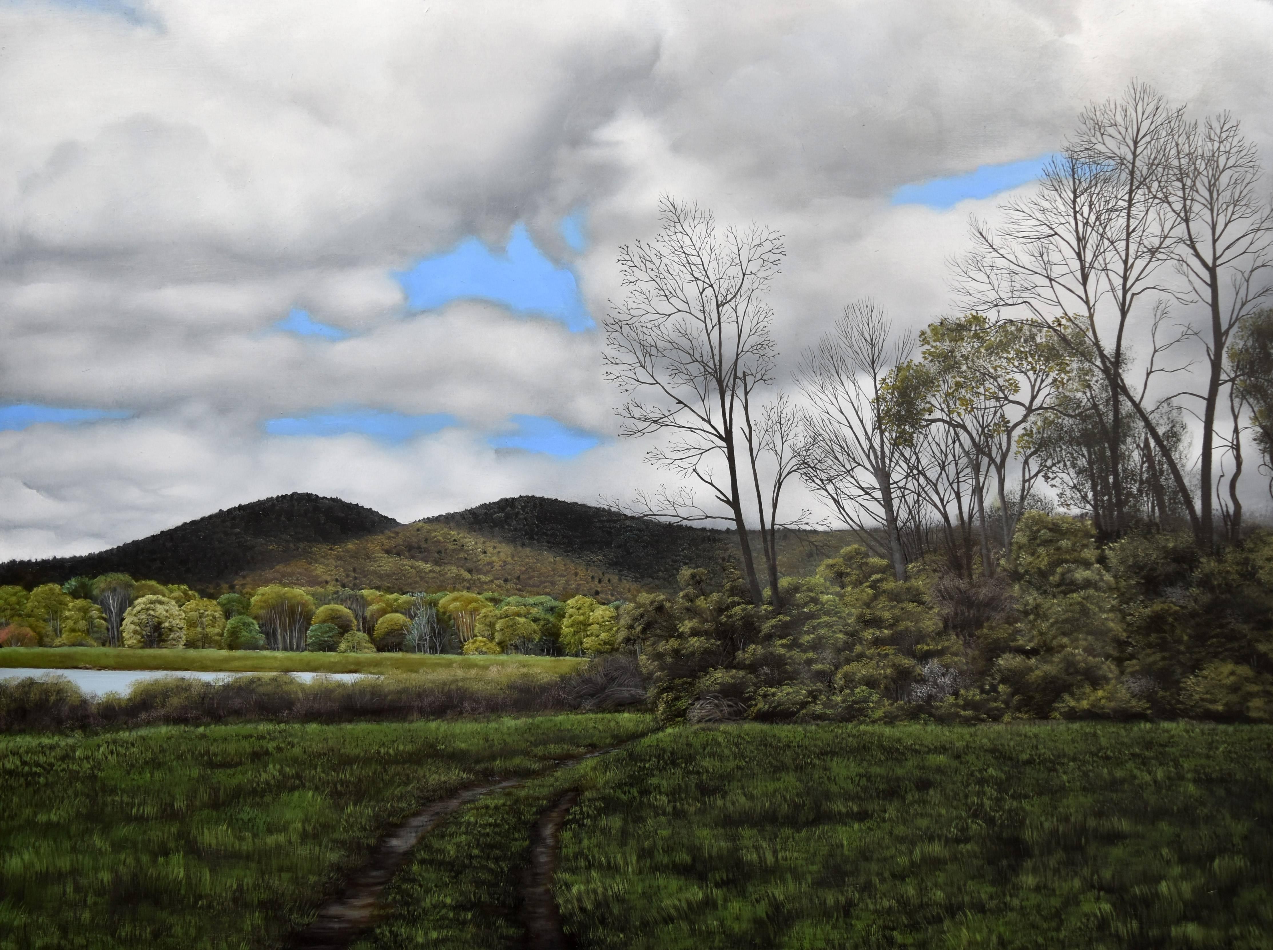 Eileen Murphy Landscape Painting - Where I Was Better Known (Hyper Realist Landscape Paining on Wood Panel)