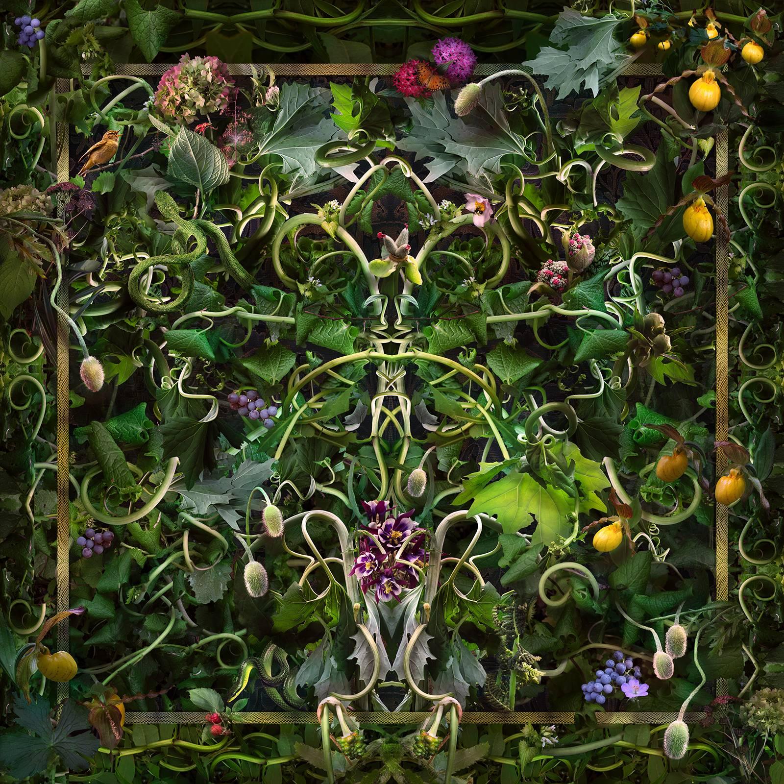 Lisa A. Frank Still-Life Photograph - Feared, Loved (Abstract Baroque Style Still Life Photo of Green Vines & Flowers)