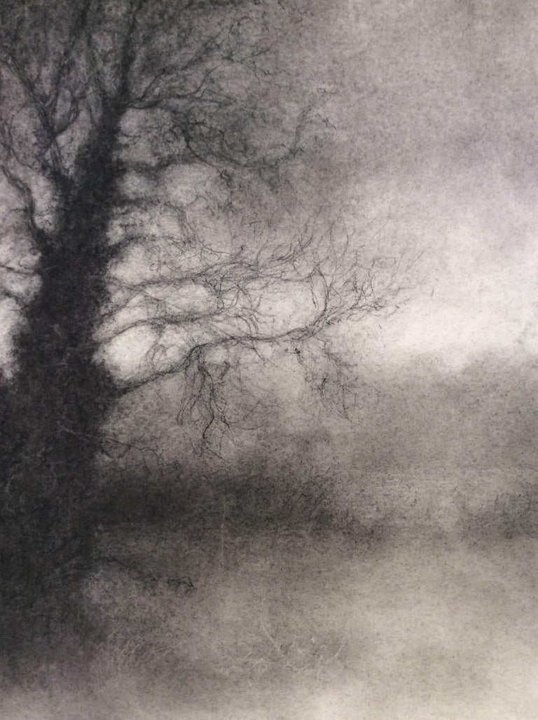 Winter Tree 4 Black White Realistic Landscape Charcoal Drawing On Paper