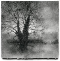 Albero d'inverno 4 (Disegno a carboncino di un paesaggio realistico in bianco e nero su carta)