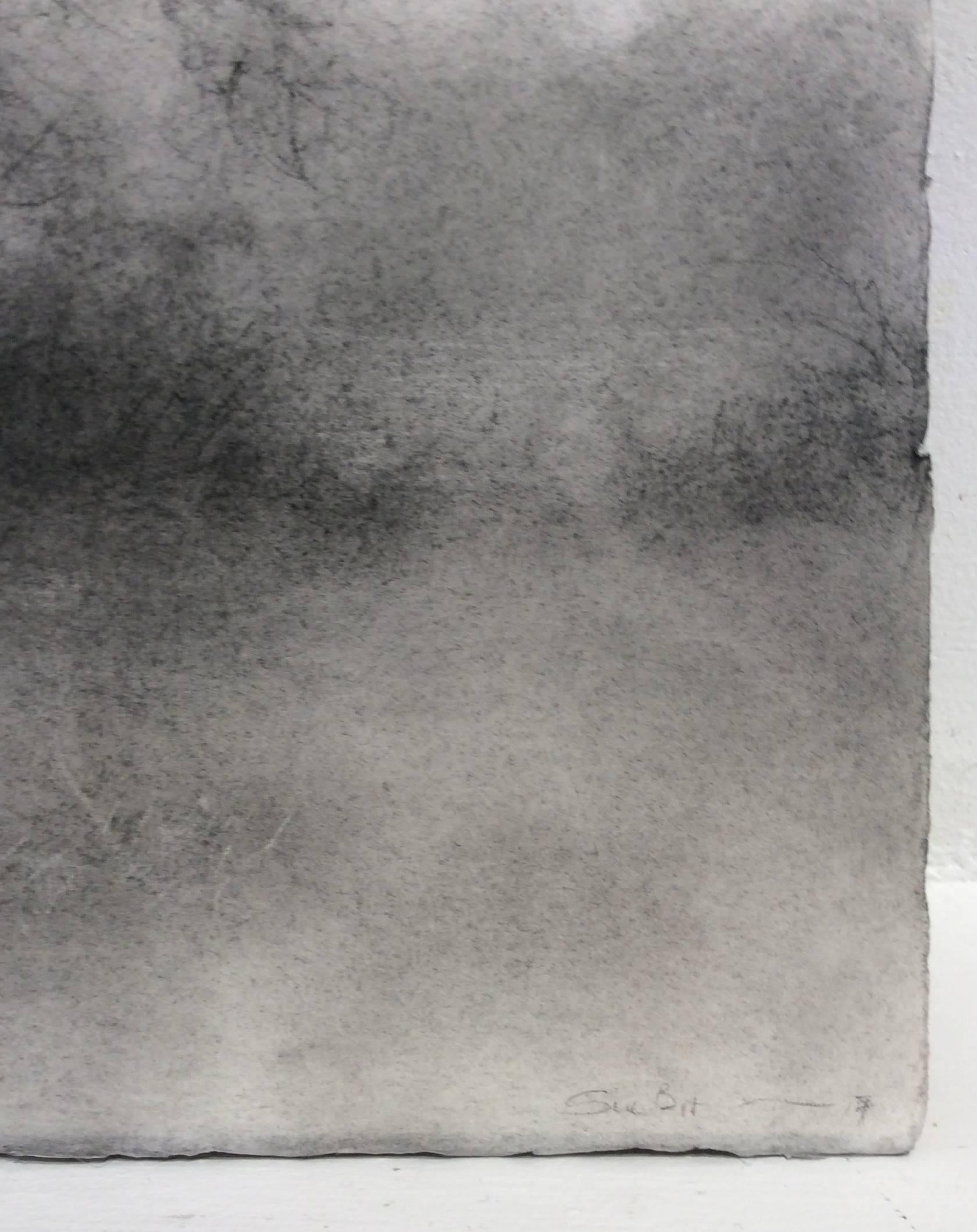 Winter Tree 4 (Black & White Realistic Landscape Charcoal Drawing on Paper) - Gray Landscape Art by Sue Bryan