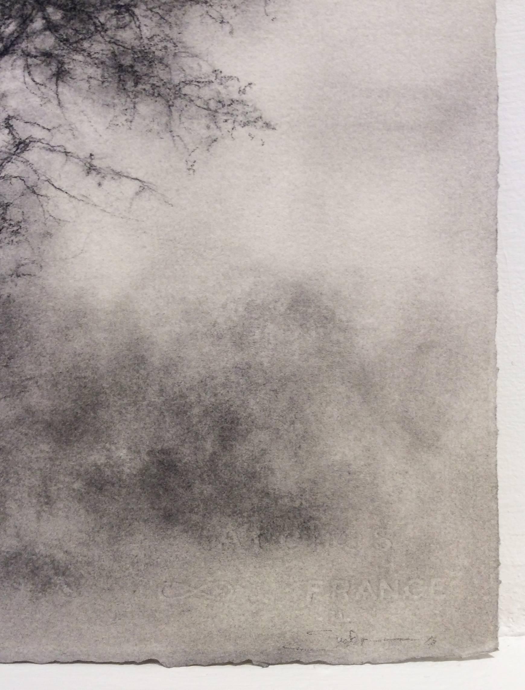 Greenhorn (Black & White Whimsical Tree Landscape Charcoal Drawing on Paper) - Contemporary Art by Sue Bryan