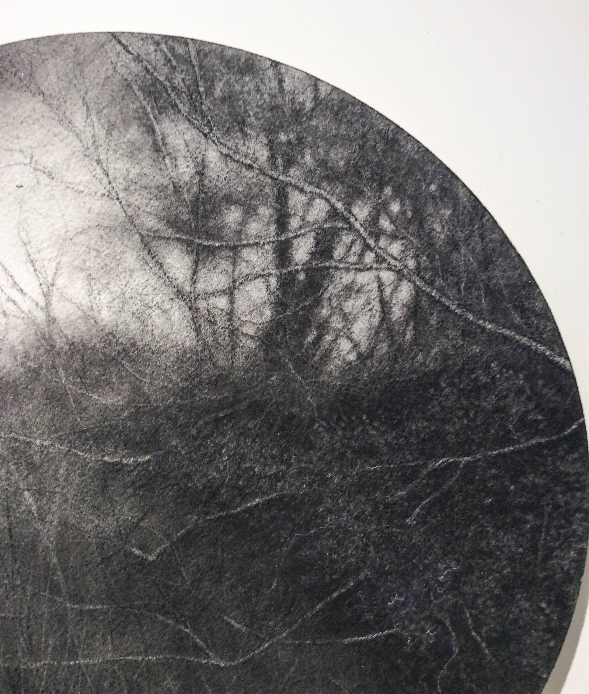 Aperture (Realistic Charcoal Landscape Drawing of Forest on Circular Panel) - Contemporary Art by Sue Bryan