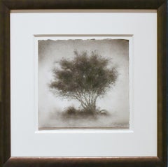 Still-life Drawings and Watercolors