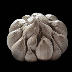 Big Garlic (Modern Food Still Life Photo of Garlic Bulb on Black Background)