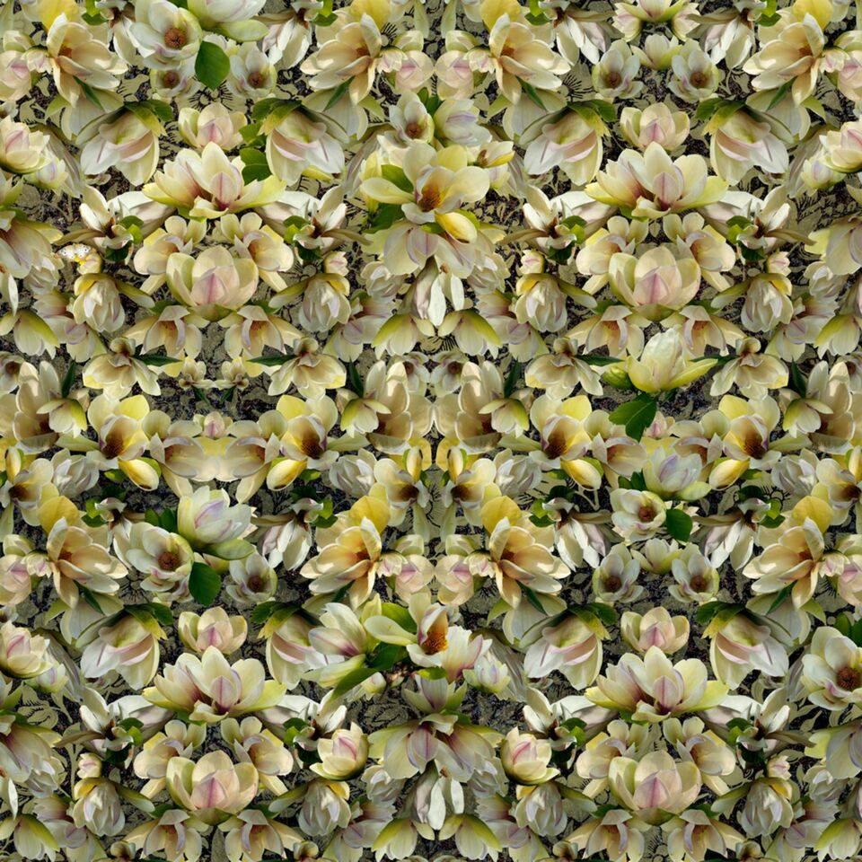 Lisa A. Frank Abstract Photograph – Magnolias-Brückenmuster (Abstracted Stillleben Foto von gelben Magnolias)