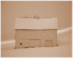 Barn with Birds ( Black and White Sepia Toned Pigment Print of a Winter Scene)