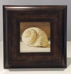 Shell (Small Still Life Oil Painting of Sea Shell in Brown Wood Frame)