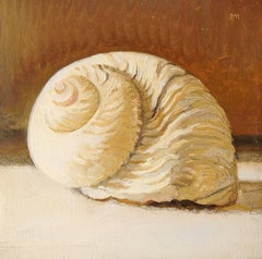 Shell (Small Still Life Oil Painting of Sea Shell in Brown Wood Frame) 