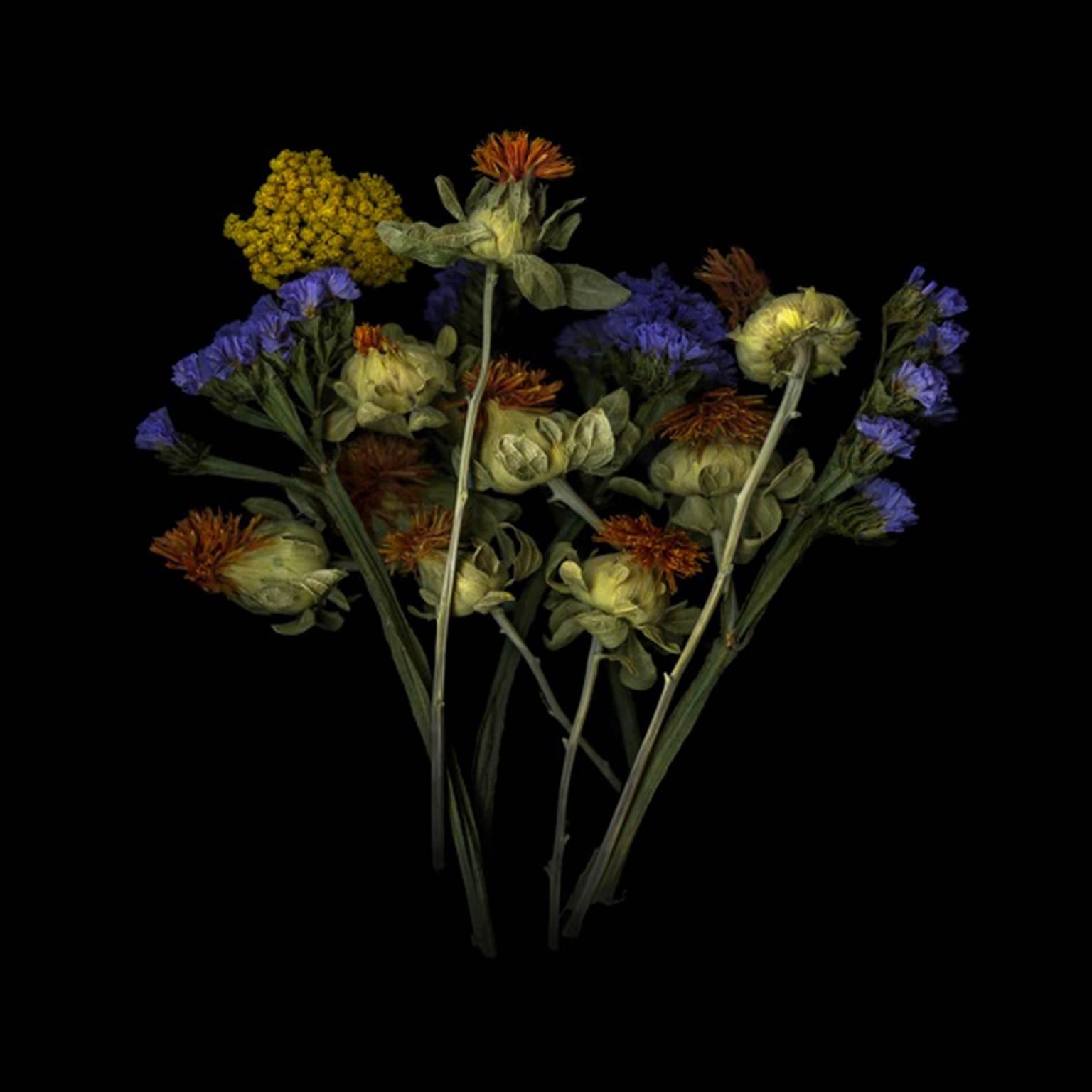 Jerry Freedner Color Photograph - Dried Flowers (Floral Still Life Photograph of Purple, Red, & Yellow Flowers)