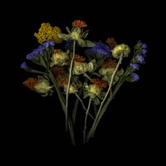 Dried Flowers (Floral Still Life Photograph of Purple, Red, & Yellow Flowers)