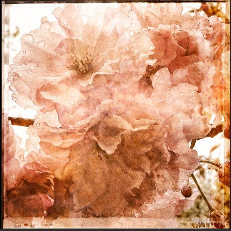 Jerry Freedner Abstract Photograph - Blossoms