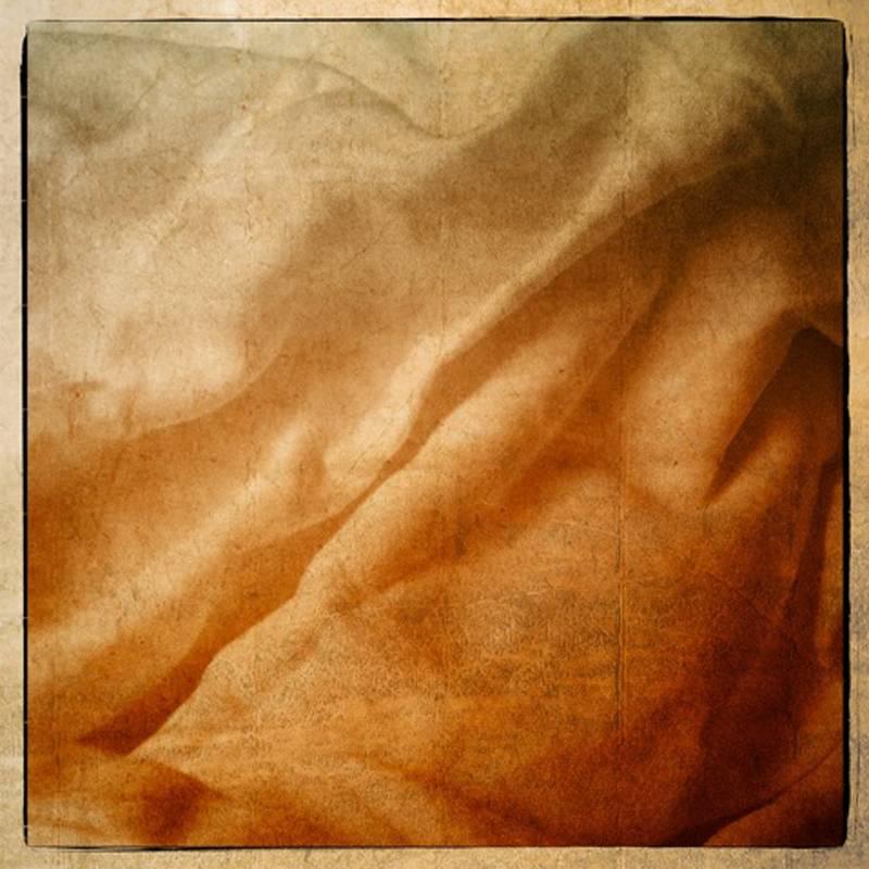 Still-Life Photograph Jerry Freedner - Échantillons