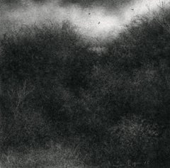 Edgeland XI ( Drawing miniature de paysage réaliste moderne en charbon de bois noir)