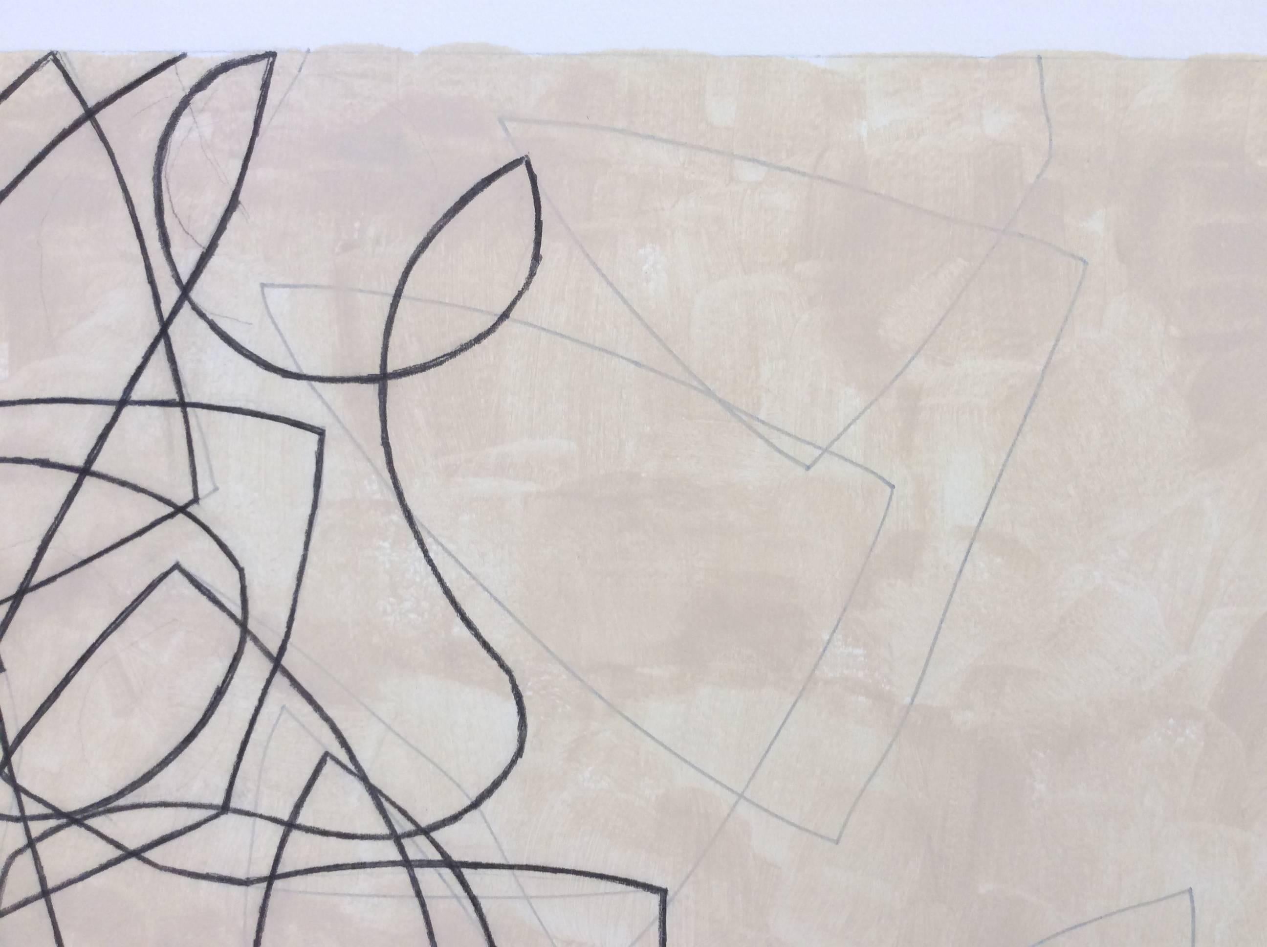 graphite & acrylic on Arches paper
18 x 24 inch image on 23 x 30 inch paper, unframed

abstract line drawing, abstract drawing, line drawing, abstract lines, curvy lines, curvy line drawing, organic shapes, black and white drawing, neutral
