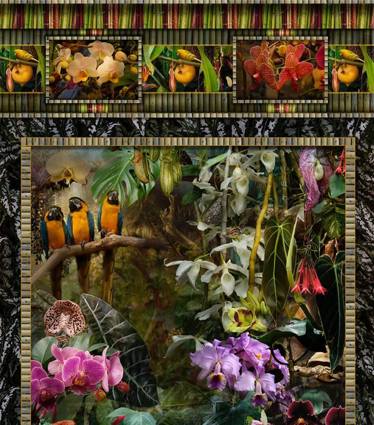 Conservatorio (Fotografía de bodegón vertical de pájaros tropicales y flores exóticas) - Photograph de Lisa A. Frank