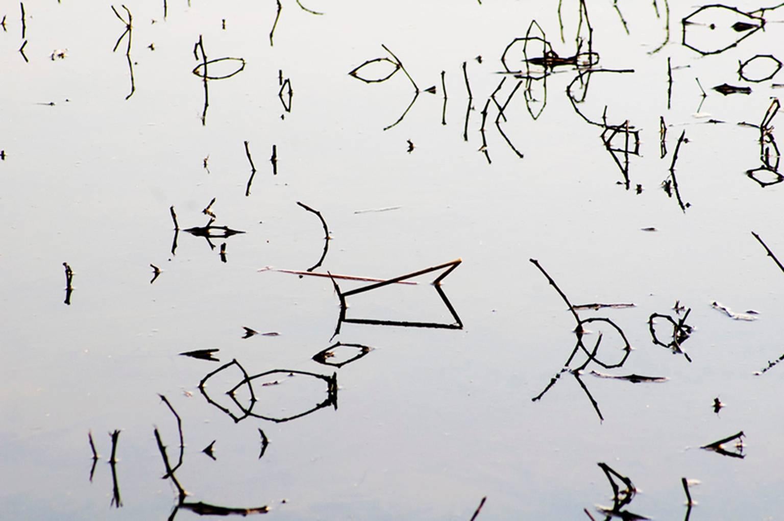 Glyph 2 (Black & White Abstract Photo of Reflections in Water)