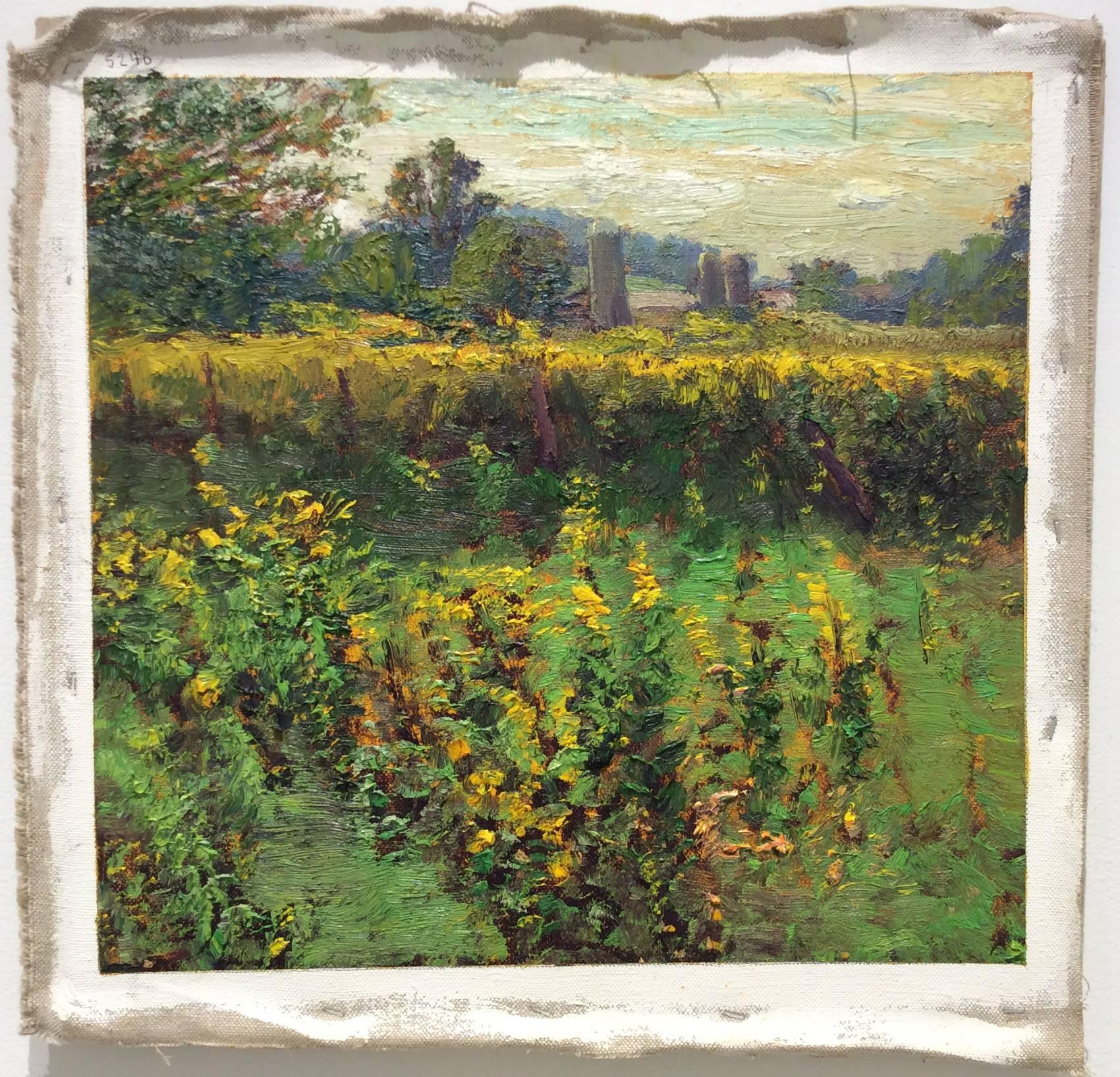 #5246 Field of Golden Rod - Painting by Harry Orlyk