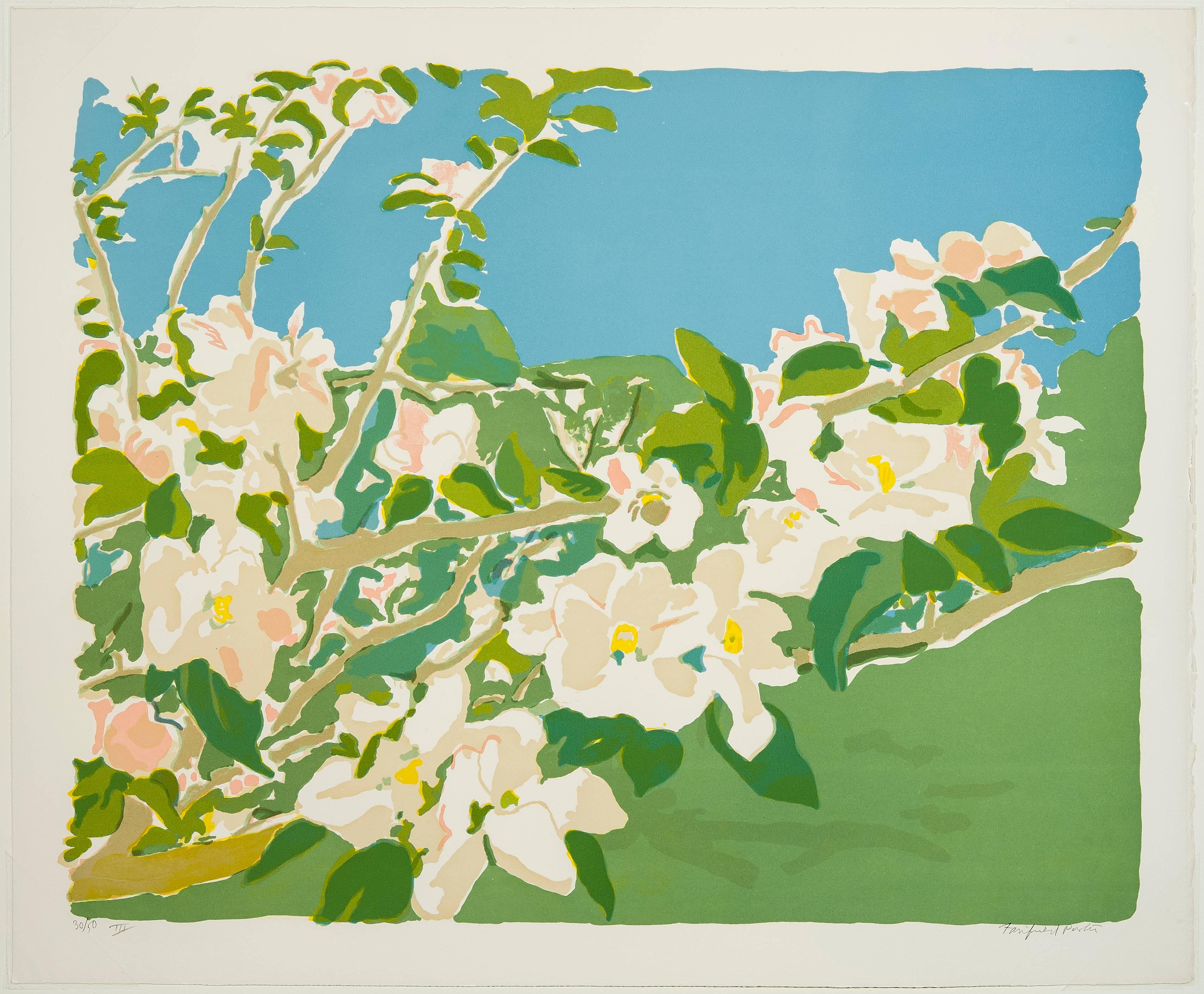 Fairfield Porter Landscape Print - Apple Blossoms III