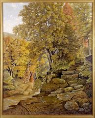 Footpath by a Mountain Stream 10