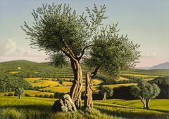 Italian Landscape: Umbria 8