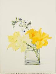 Daylilies and Monkshood, July