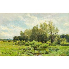 Landscape in Spring 7