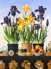 Three Pots of Iris 12