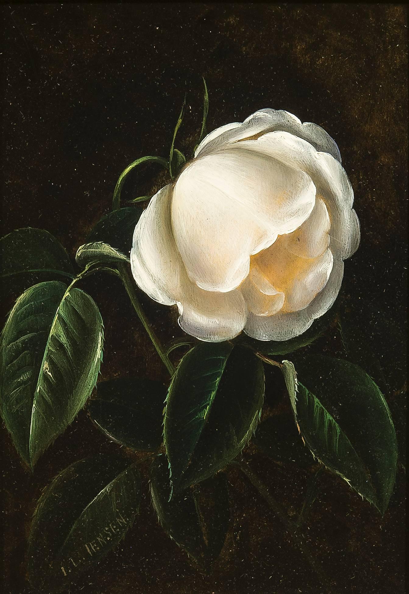 Johan Laurentz Jensen Still-Life Painting - A White Camellia