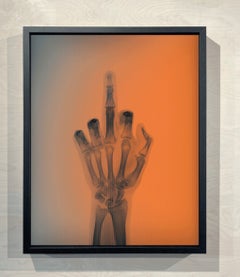 The Bird in Colour No 8 BM, Framed Lenticular Print, Signed Edition
