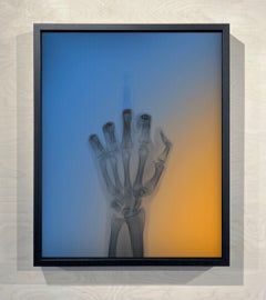 The Bird in Colour No 9 BR, Lenticular Print, Framed, Signed Edition
