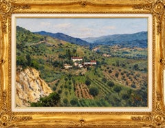 “Olive grove in Italy”
