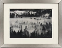 “into the mist”