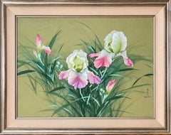 "Rosa Schwertlilien"