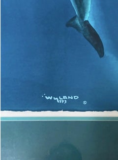 “Dolphin Love”