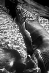 Black and white 3 2