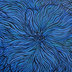 Blue Hydrangea 11